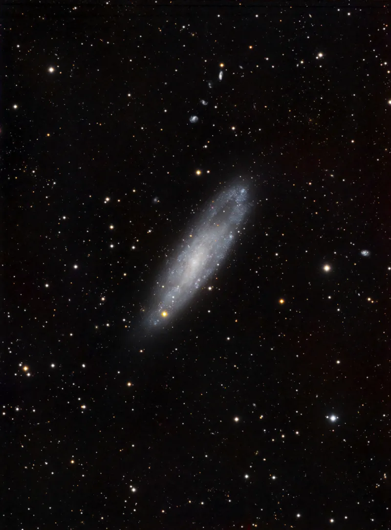 NGC 247