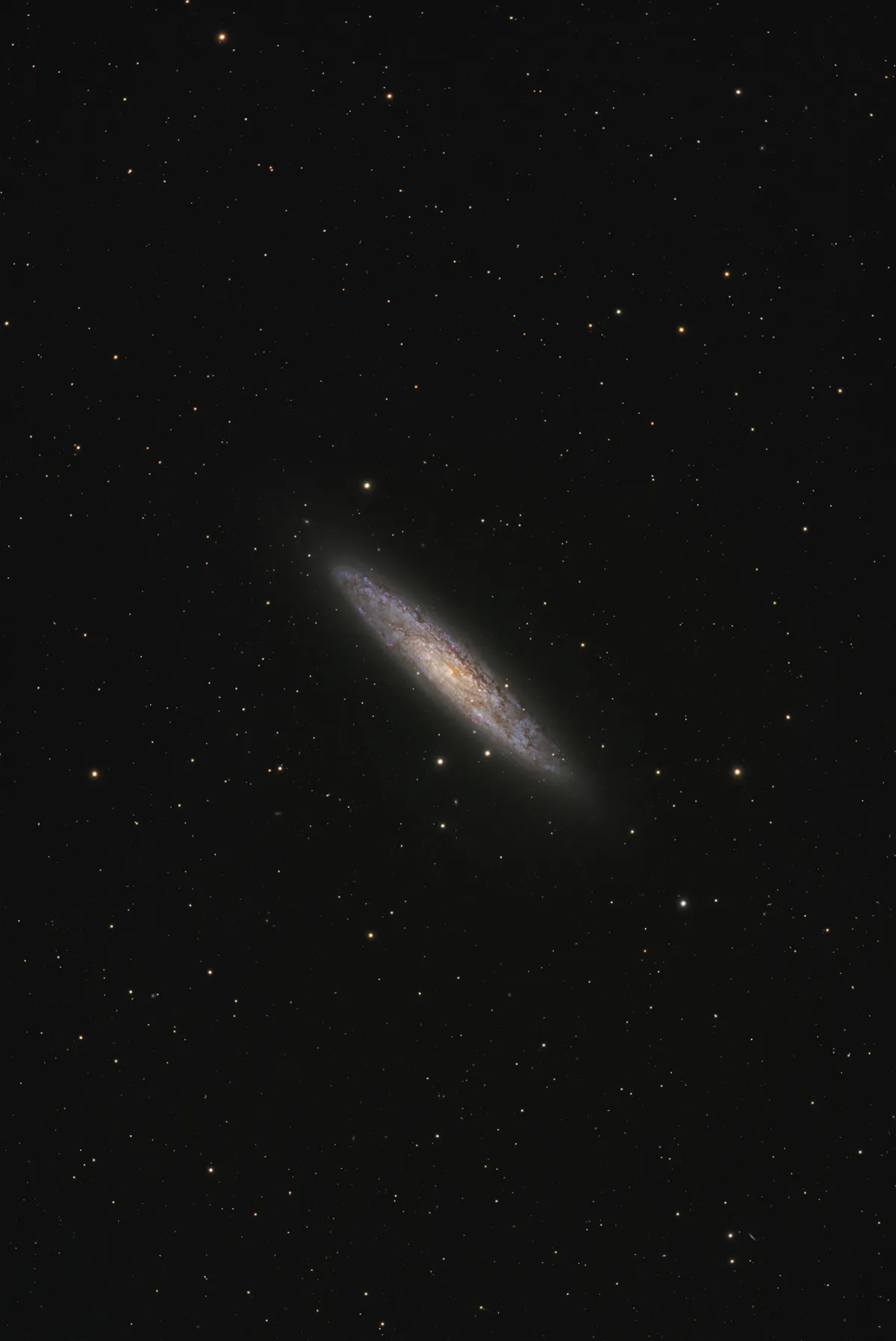 NGC 253