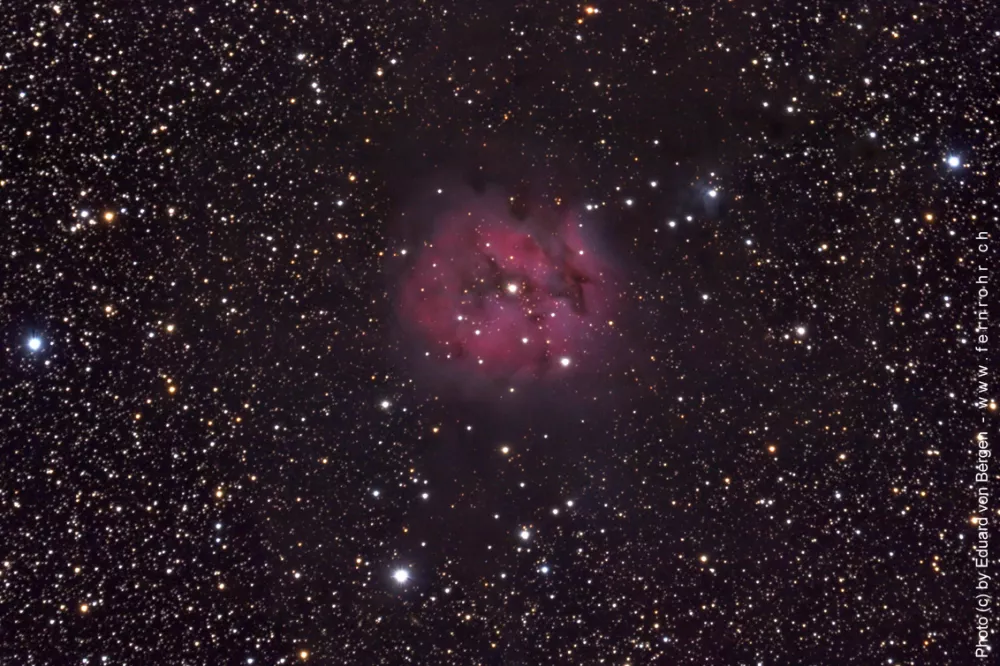 IC 5146