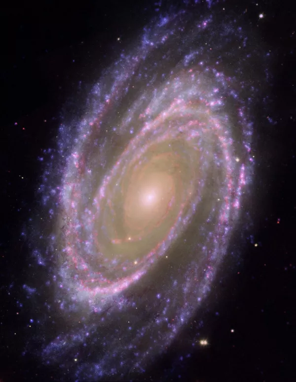 M 81