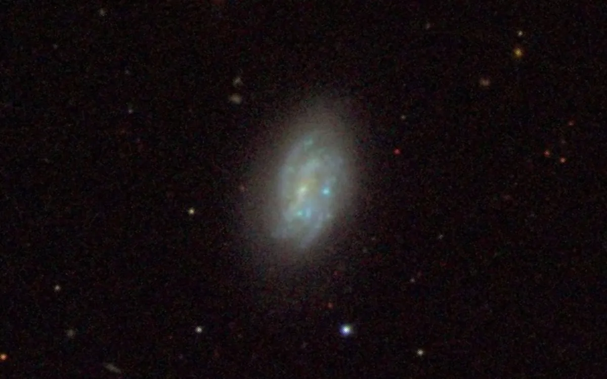 IC 591