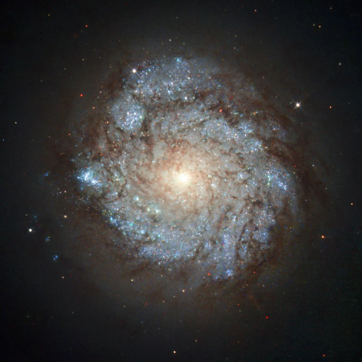 NGC 278