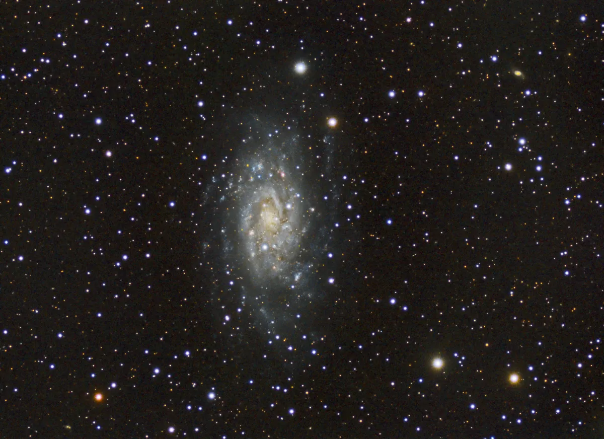 NGC 2403