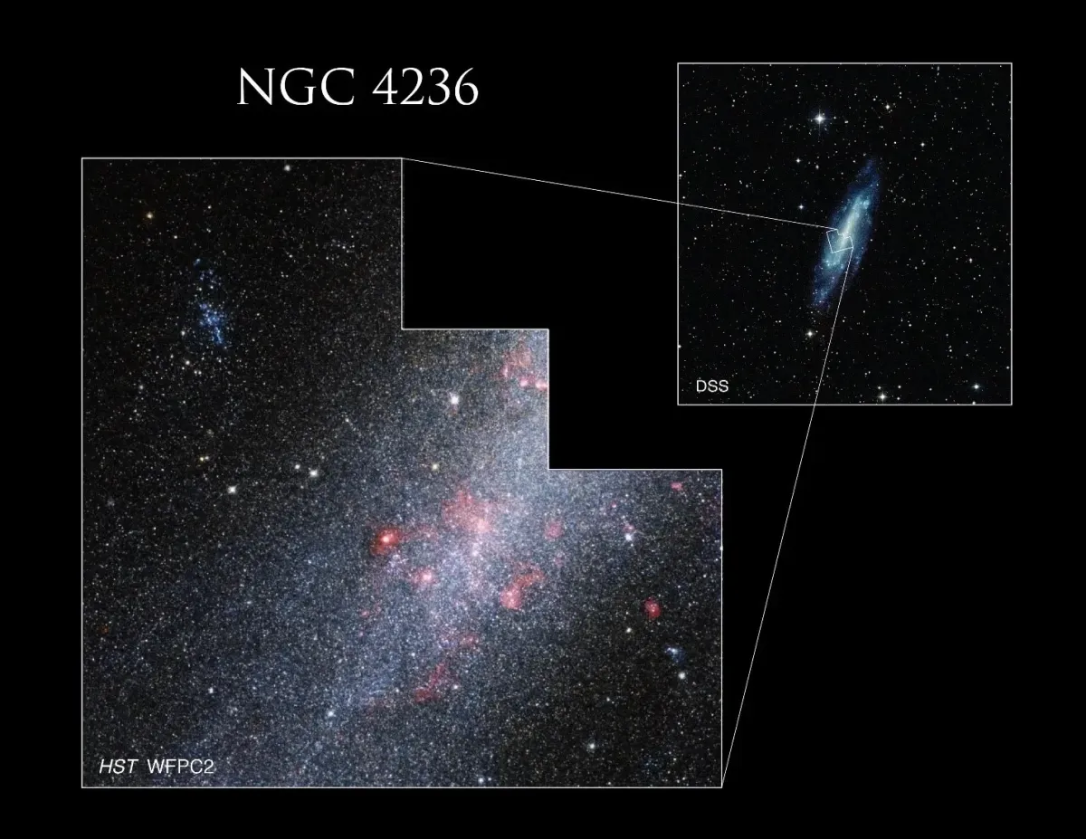 NGC 4236