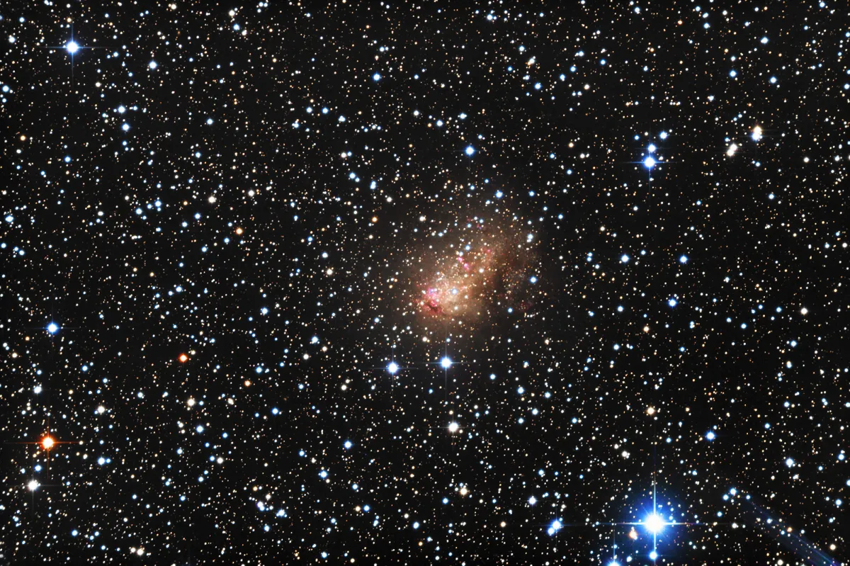 IC 10