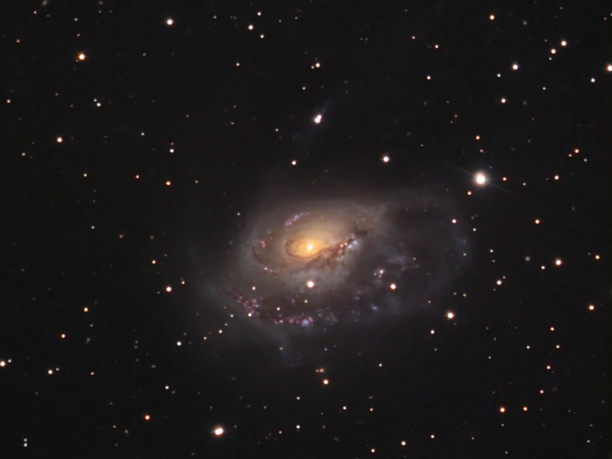 NGC 1961