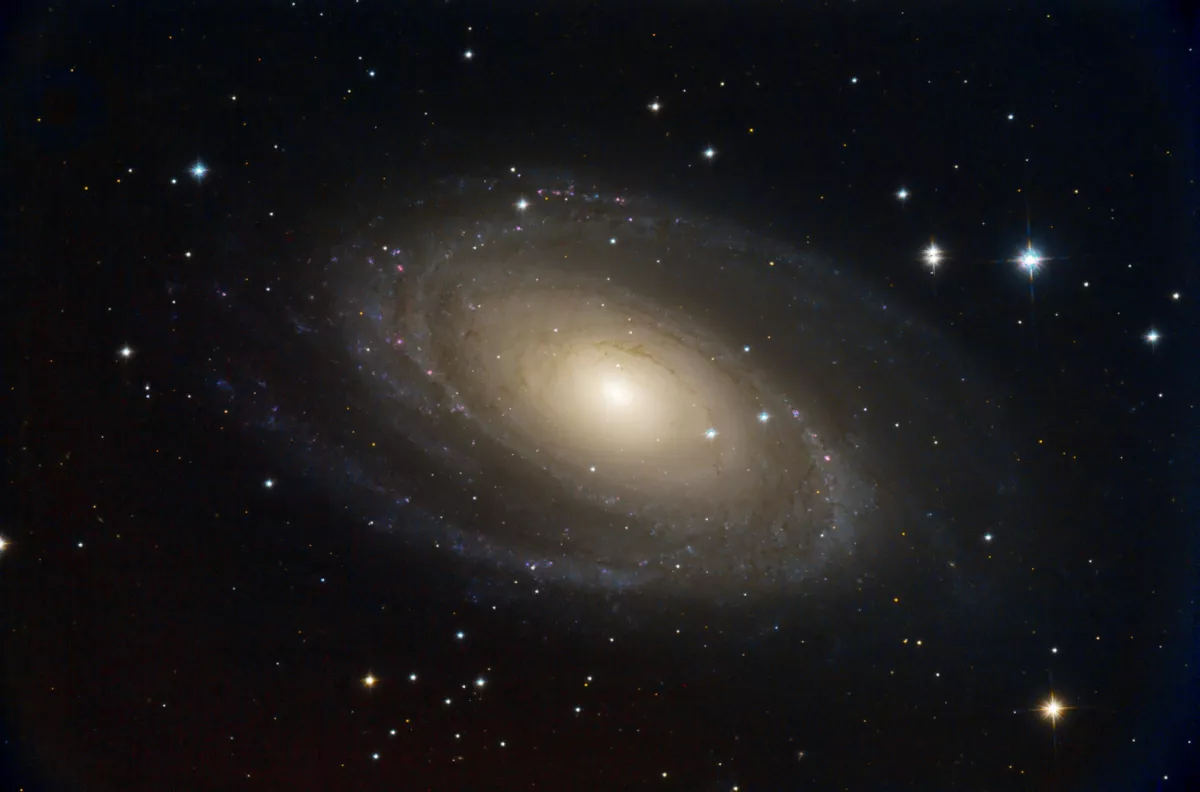 M 81