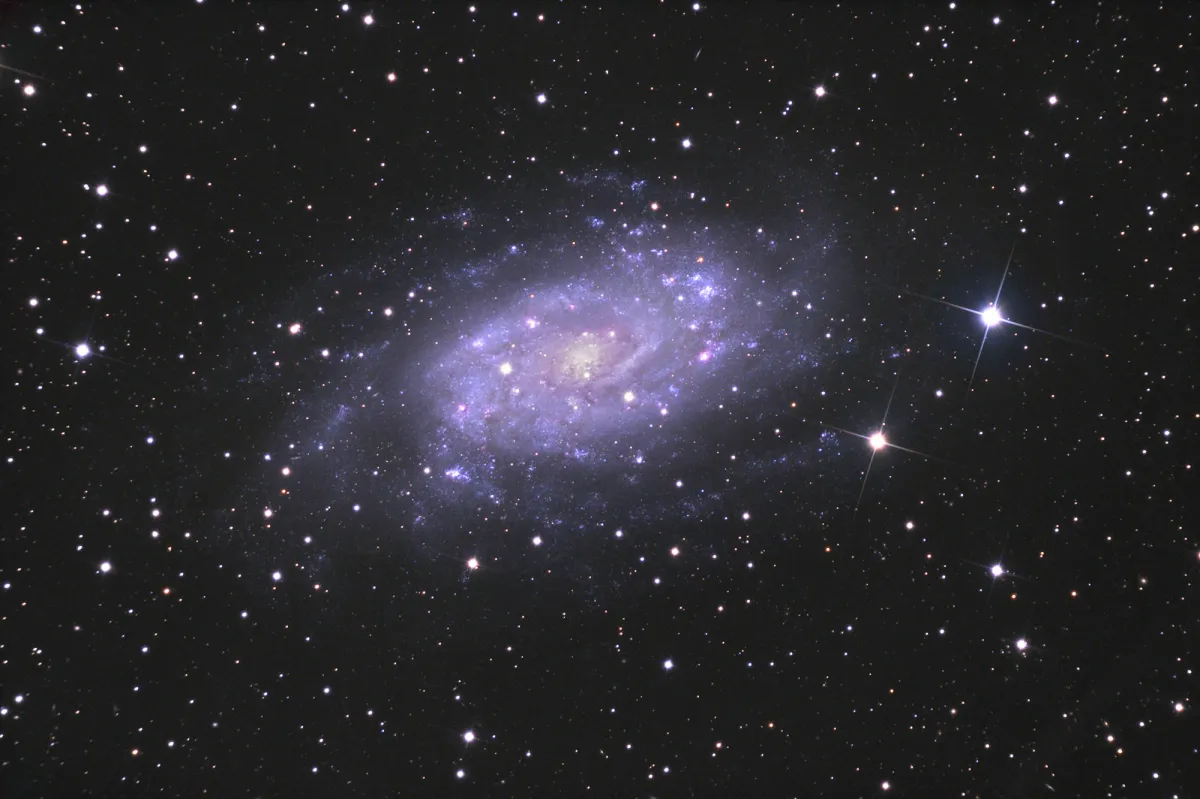 NGC 2403