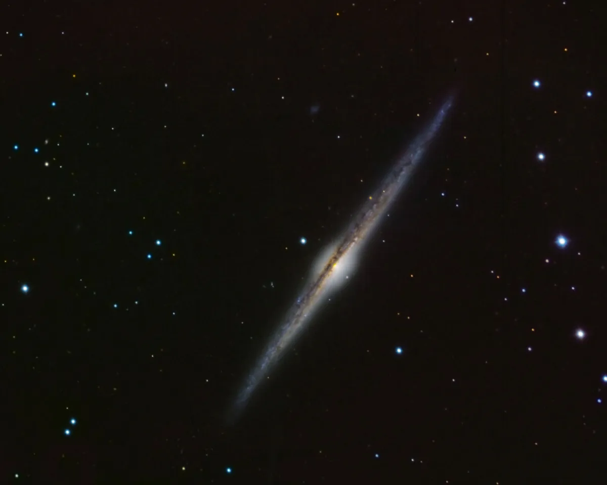 NGC 4565