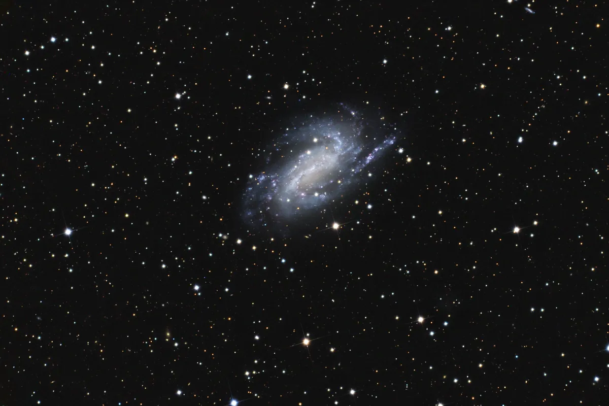 NGC 925