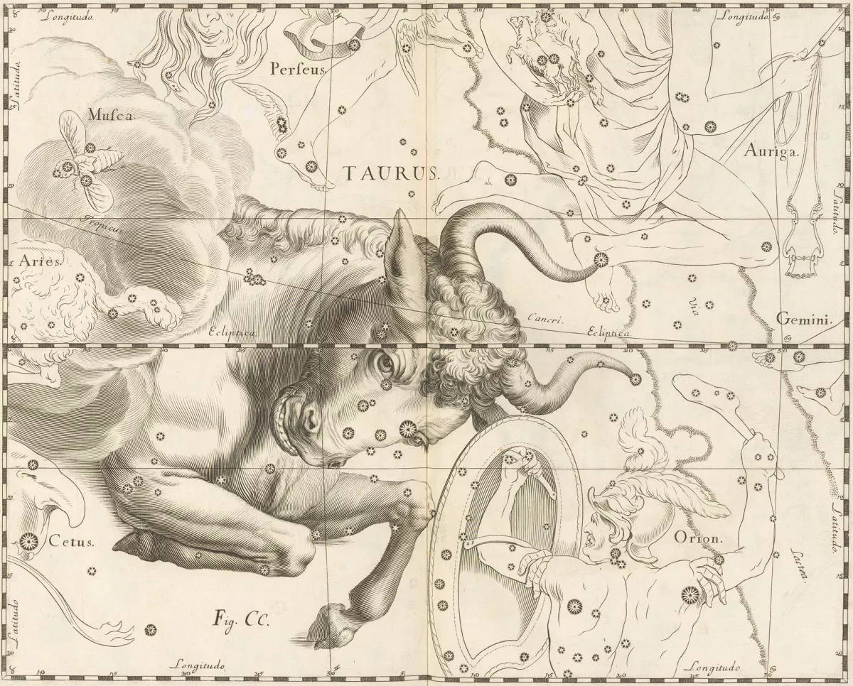 Sternbild Taurus