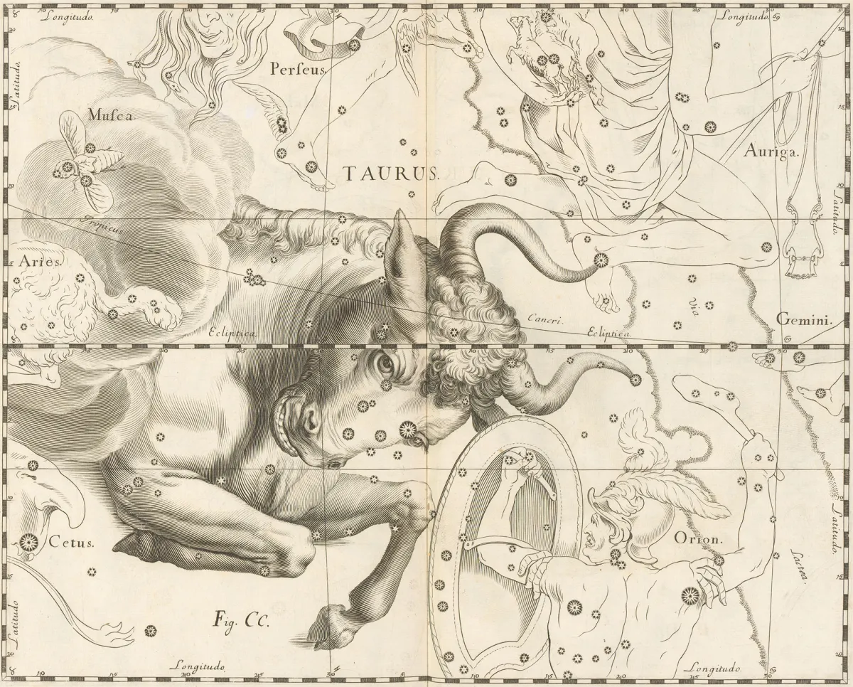 Sternbild Taurus