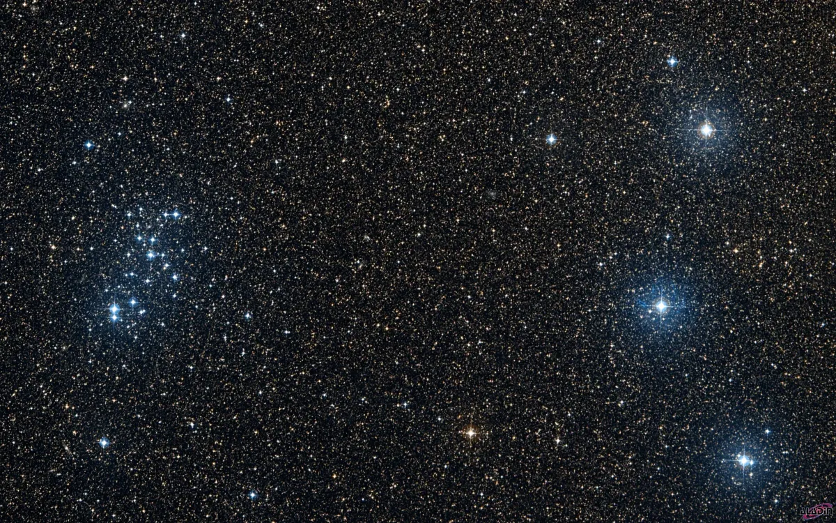 NGC 6025