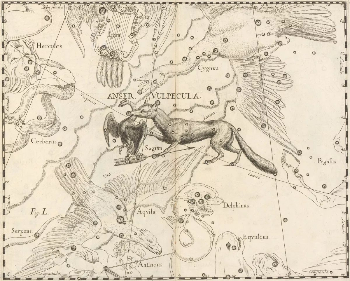 Constellations Anser, Vulpecula and Sagitta