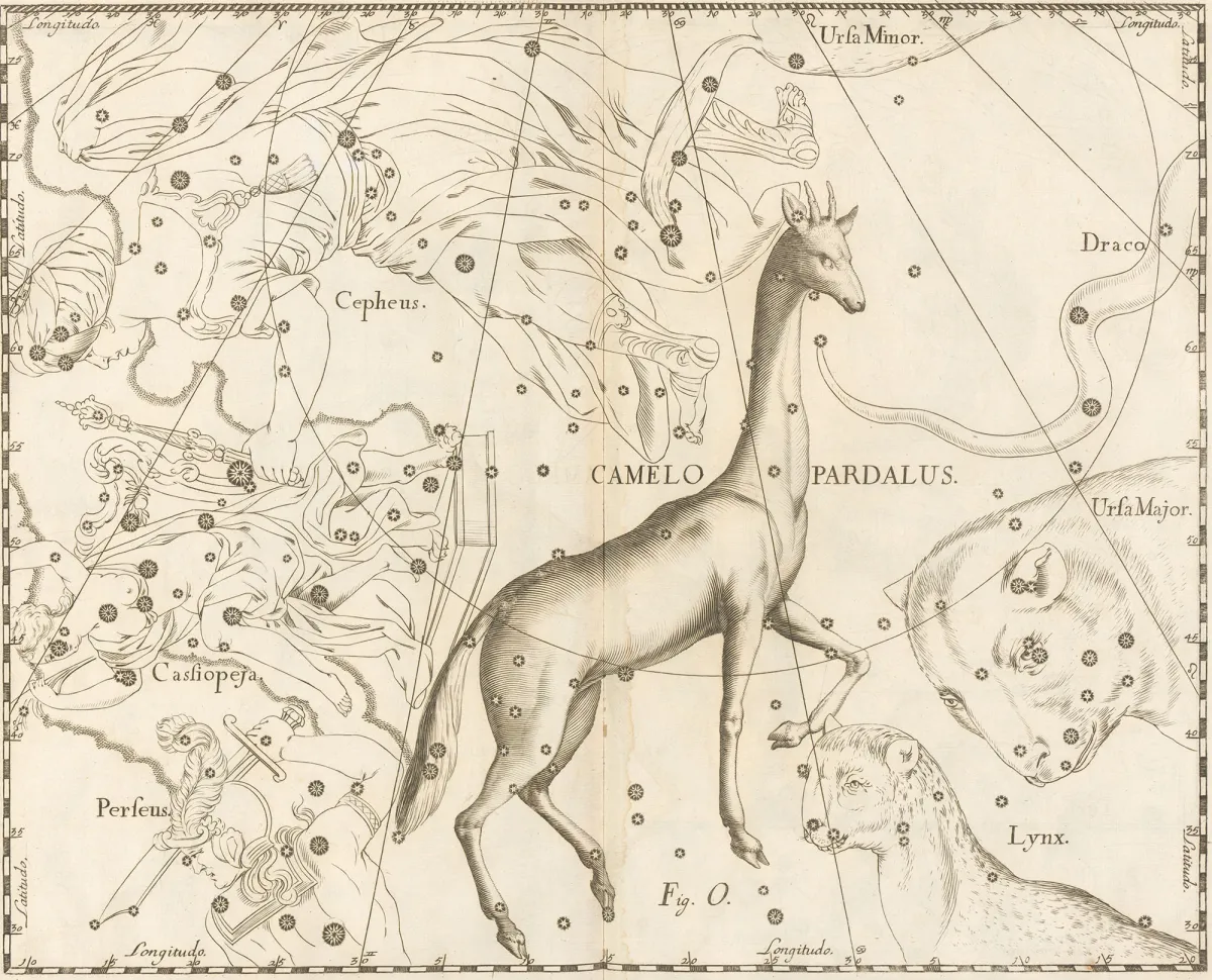 Constellation Camelopardalus