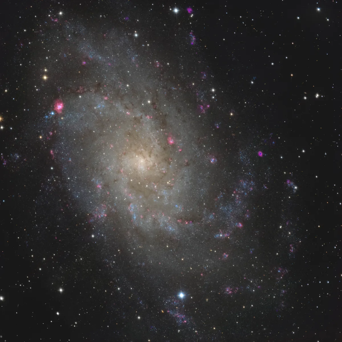 Messier 33