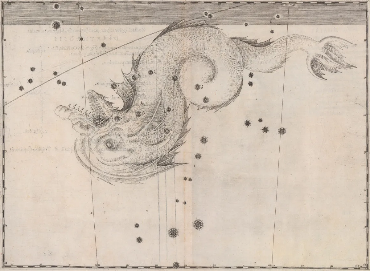 Constellation Piscis Notius