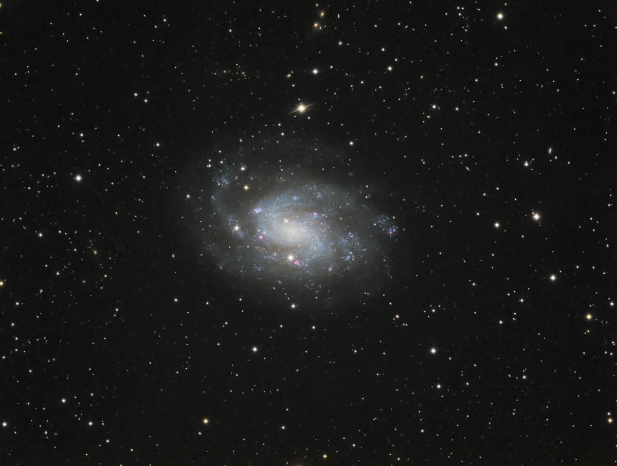 NGC 300