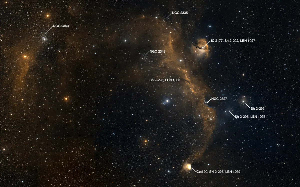 Canis Majoris OB1 Association