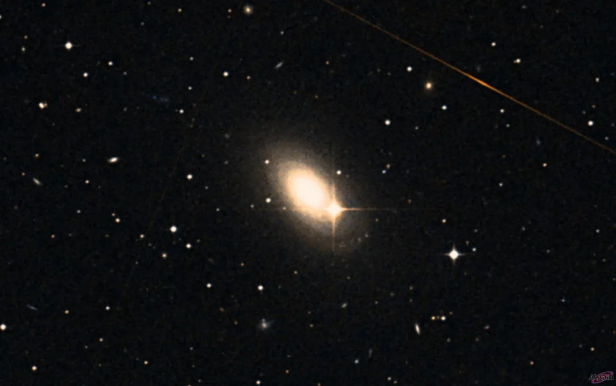 NGC 2974
