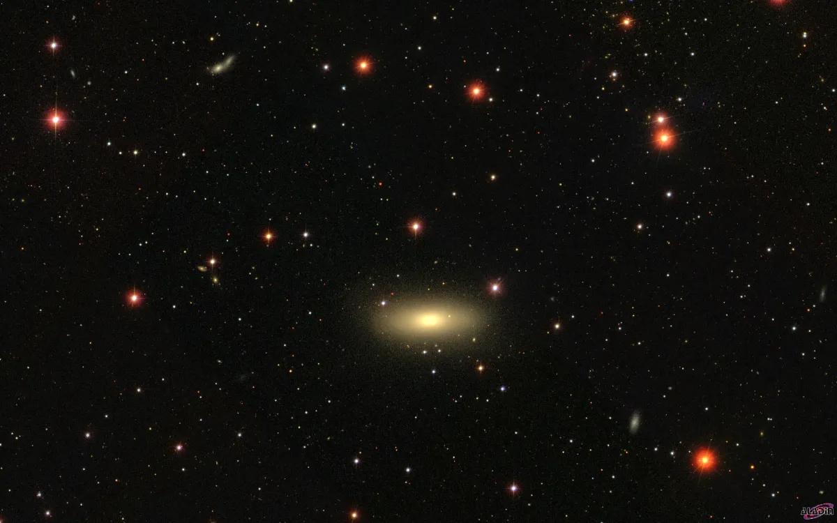 NGC 2768