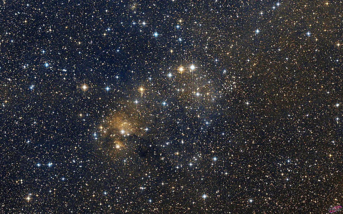 NGC 2311 + Sh 2-287