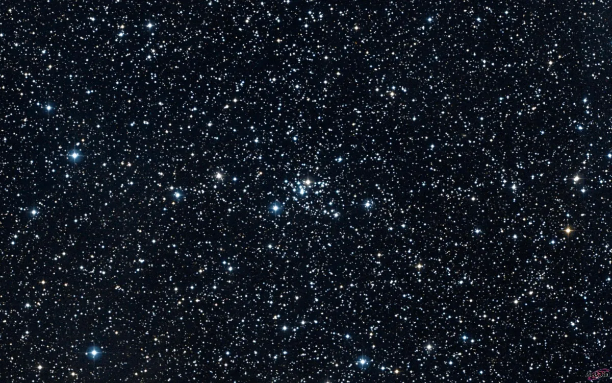 NGC 2186