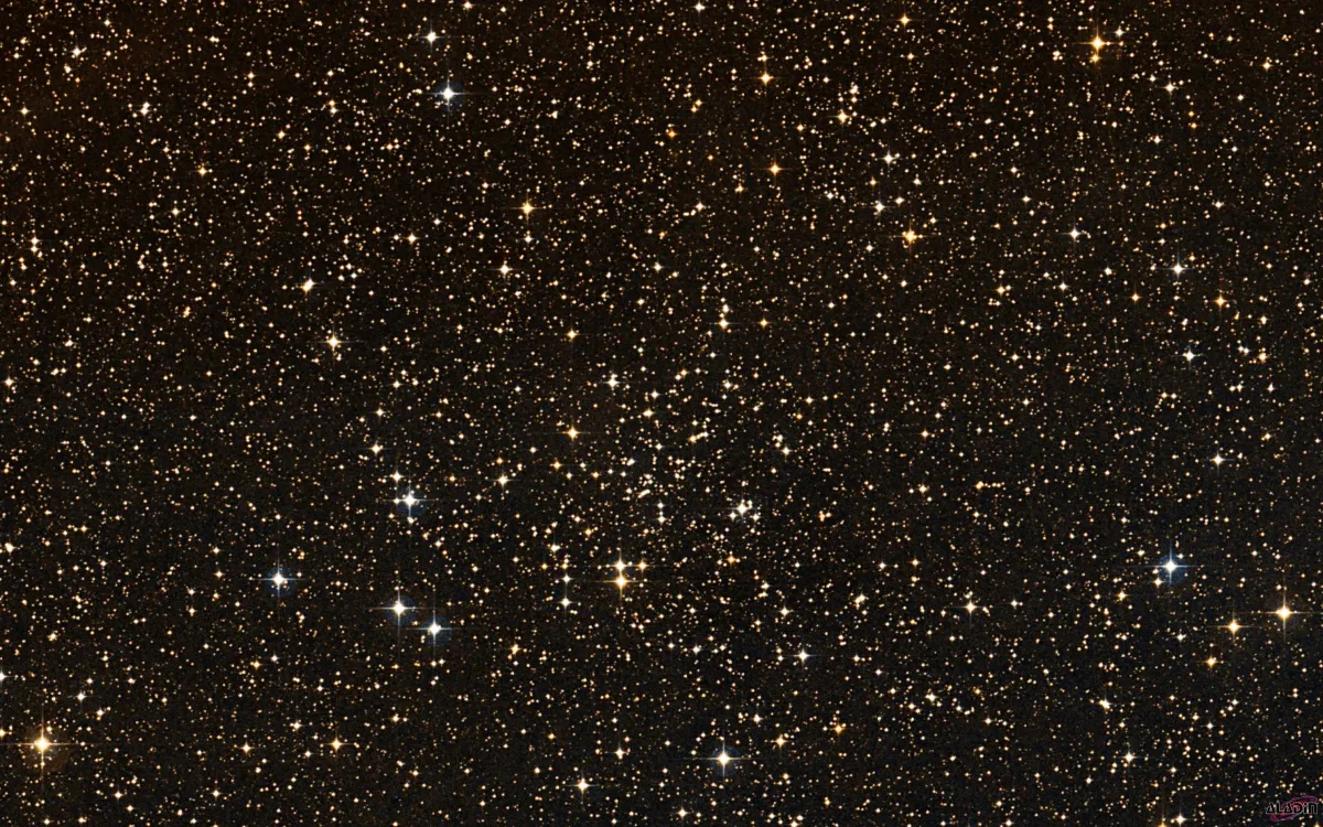 NGC 2286