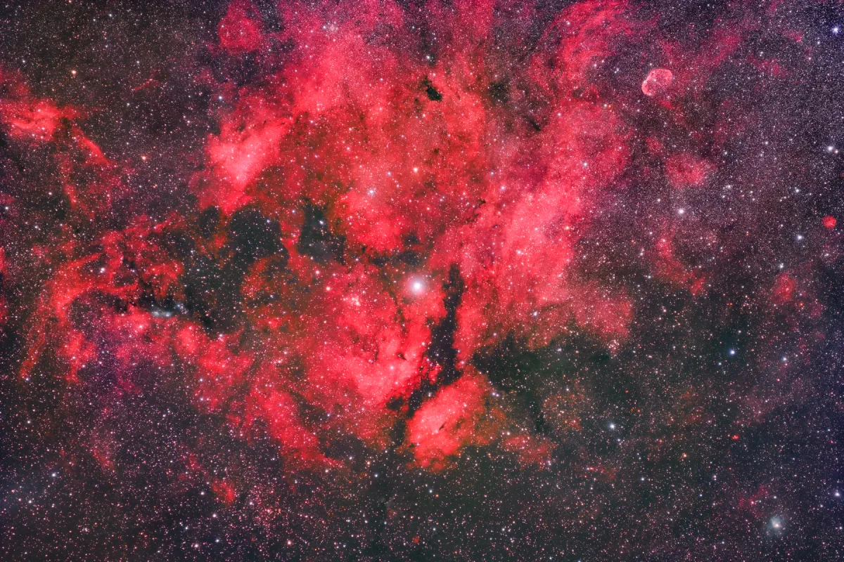 IC 1318 + NGC 6888