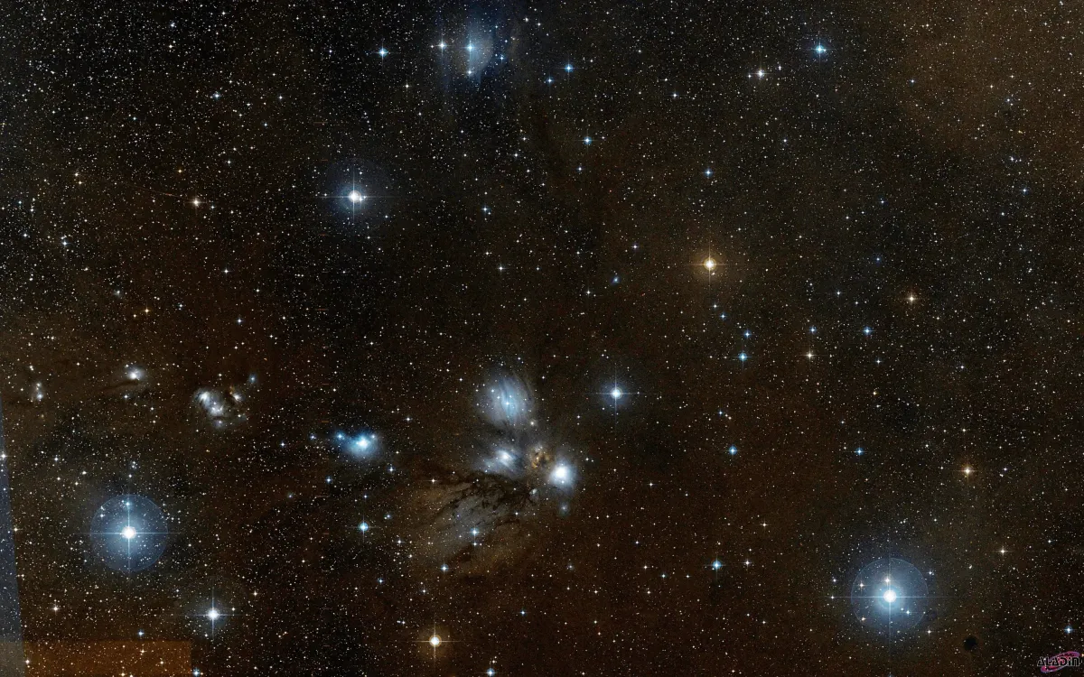 NGC 2167, NGC 2170, NGC 2182, NGC 2183, NGC 2185