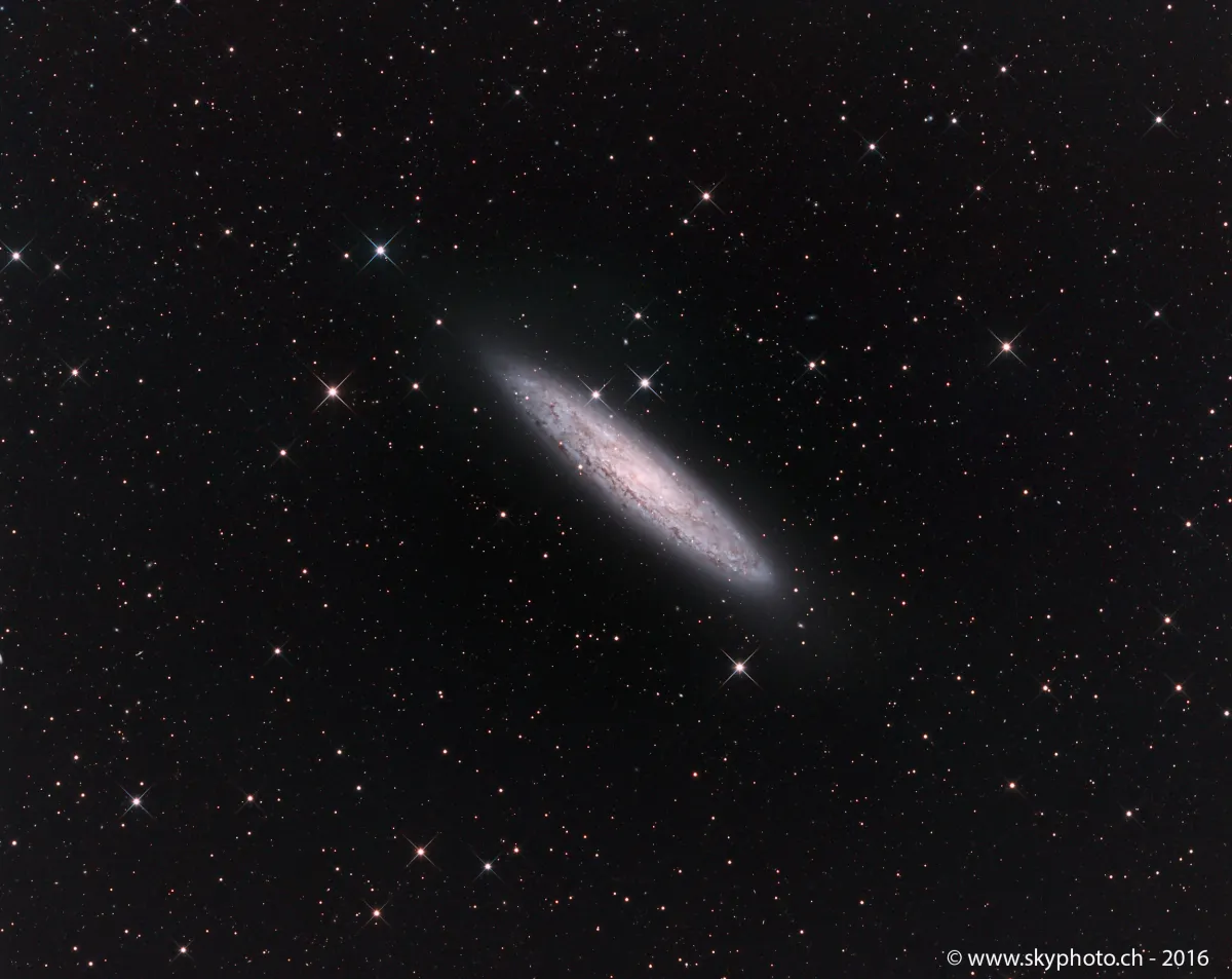 NGC 253