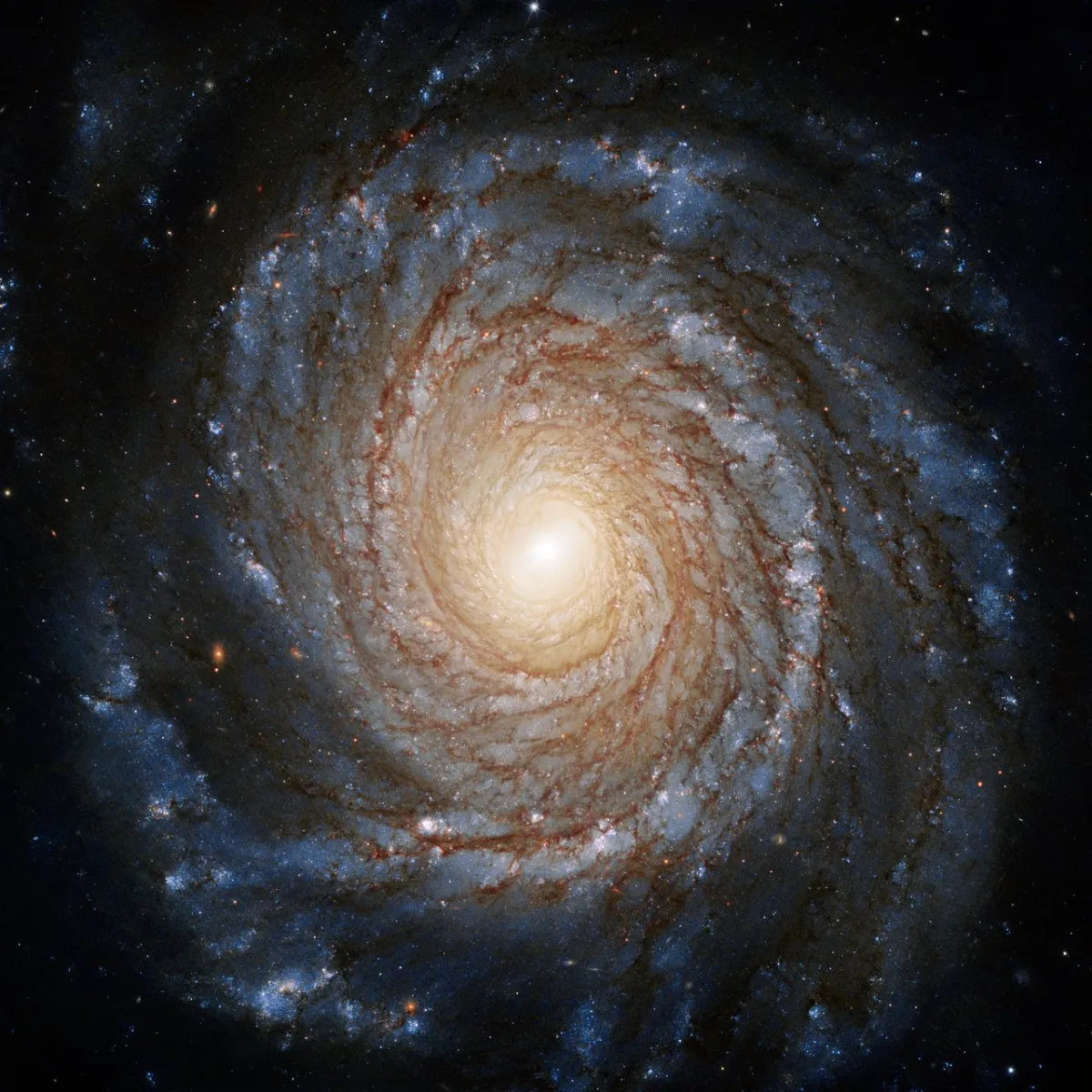 NGC 3147