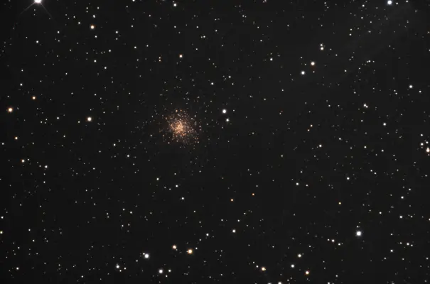 Palomar 2