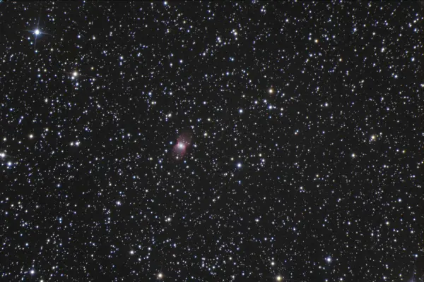 NGC 2346