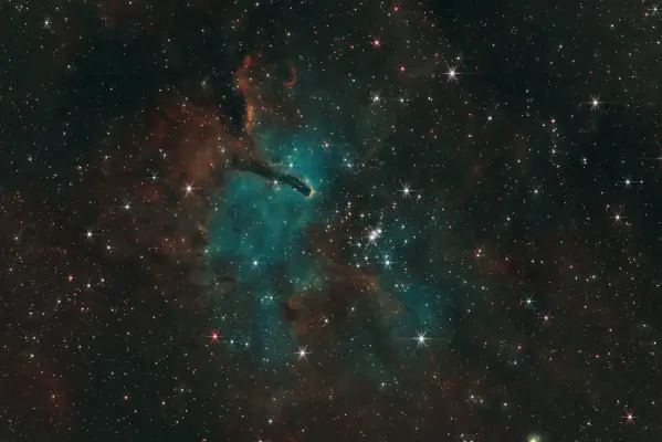 NGC 6823 & Sharpless 2-86