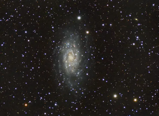 NGC 2403