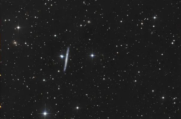 IC 2233