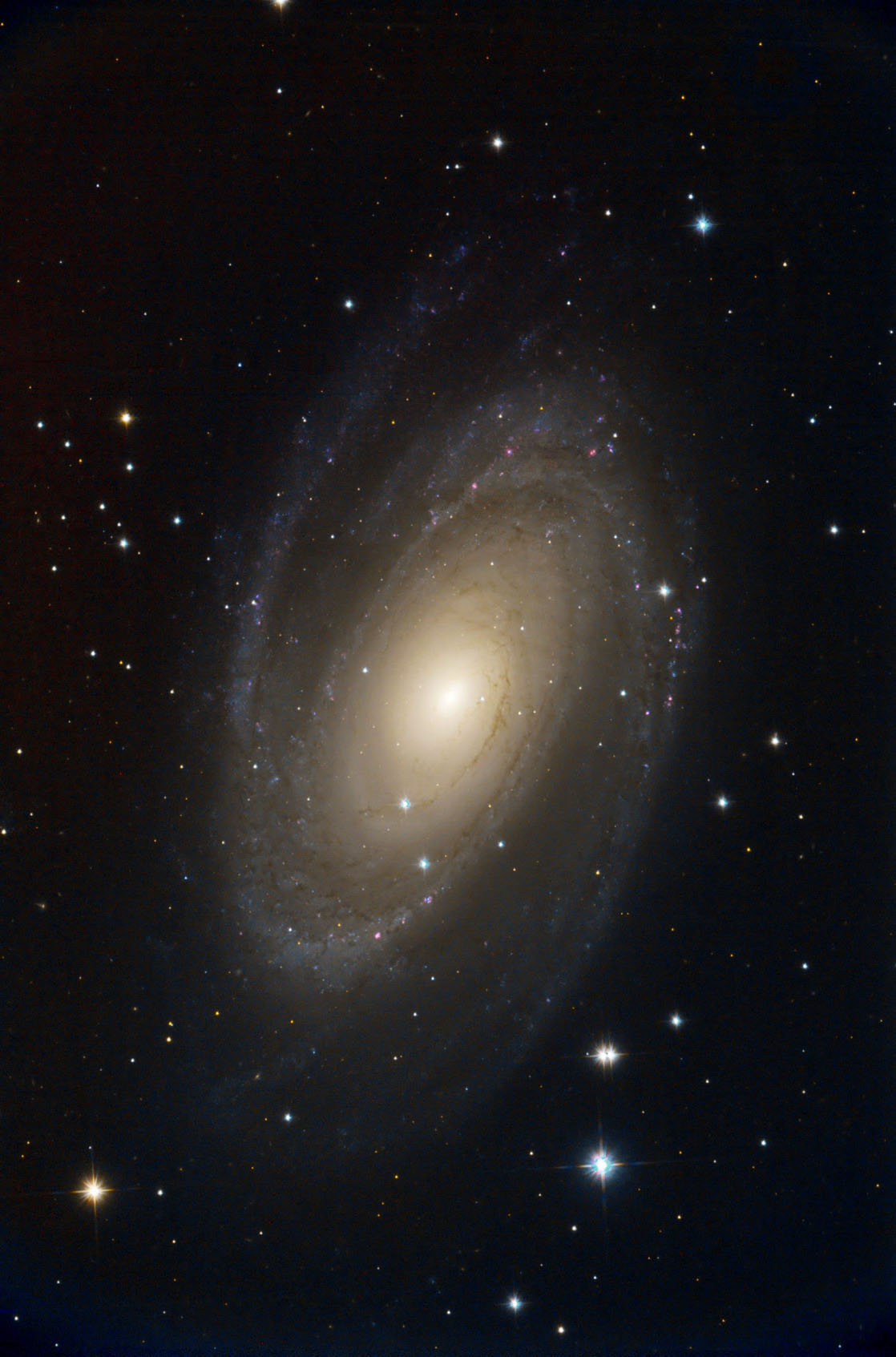M 81