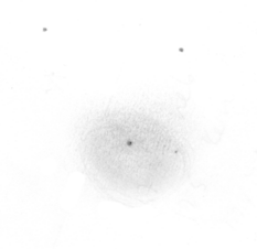NGC 7023