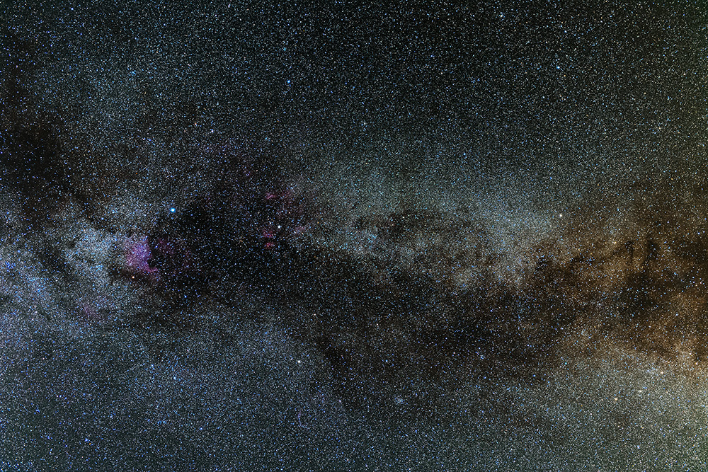 Cygnus
