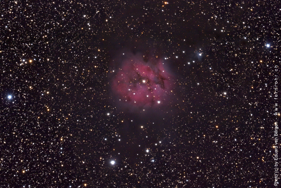 IC 5146