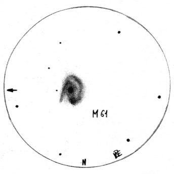 M 61