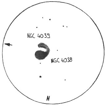 NGC 4038/9