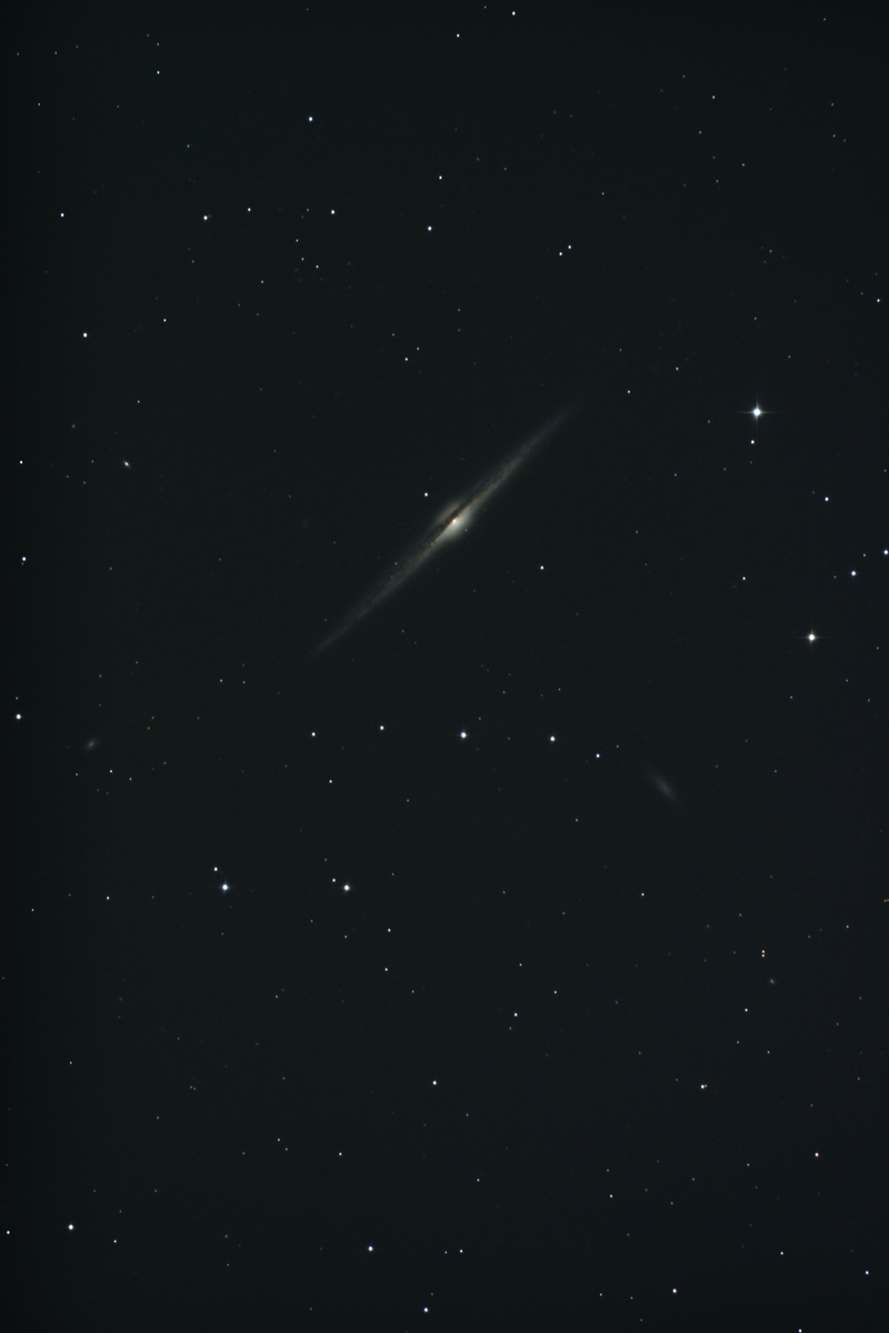 NGC 4565