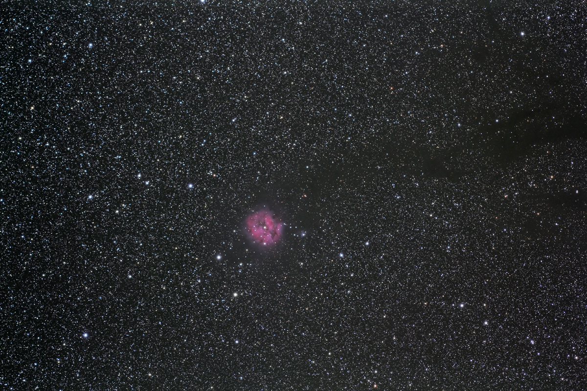 IC 5146
