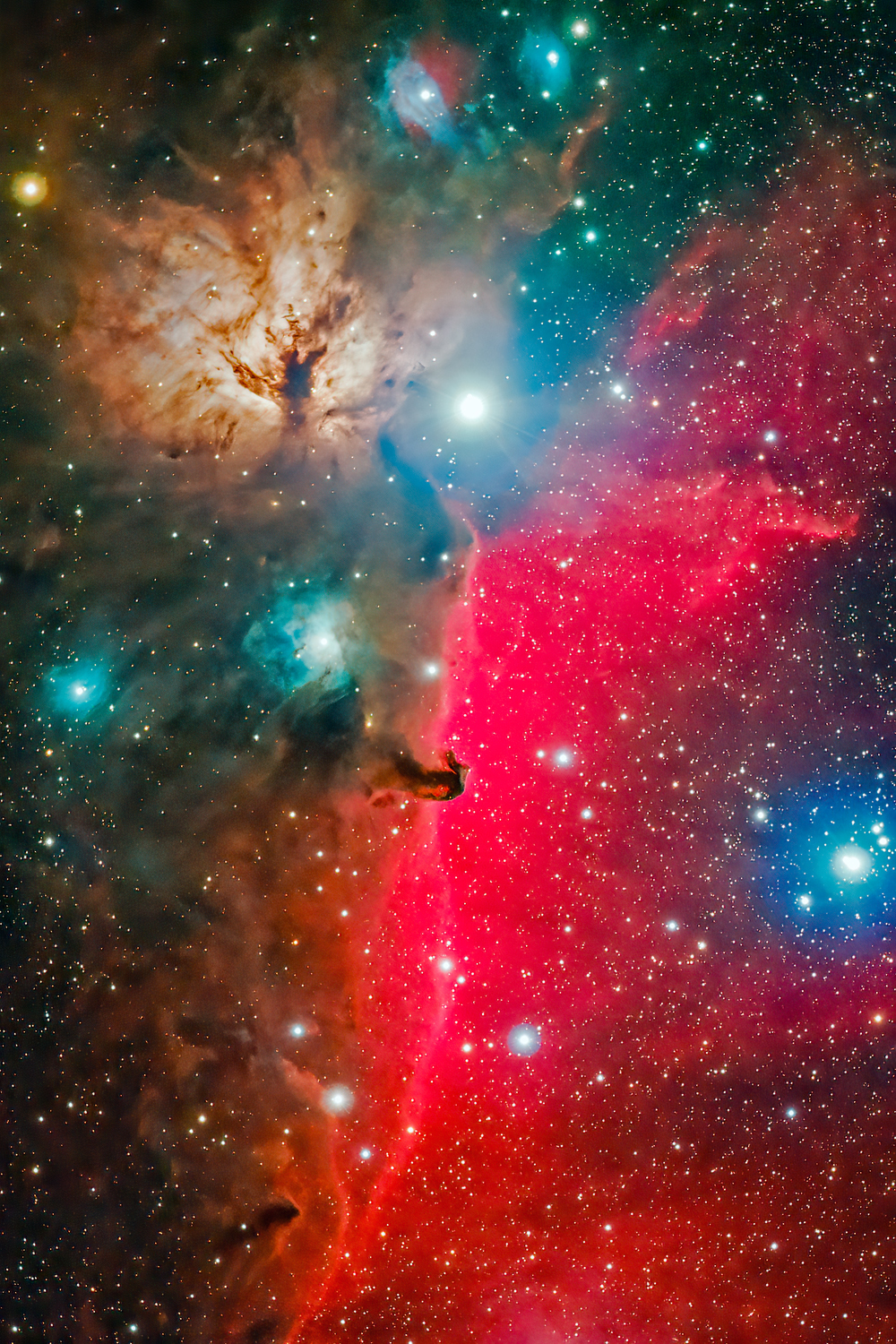 Barnard 33