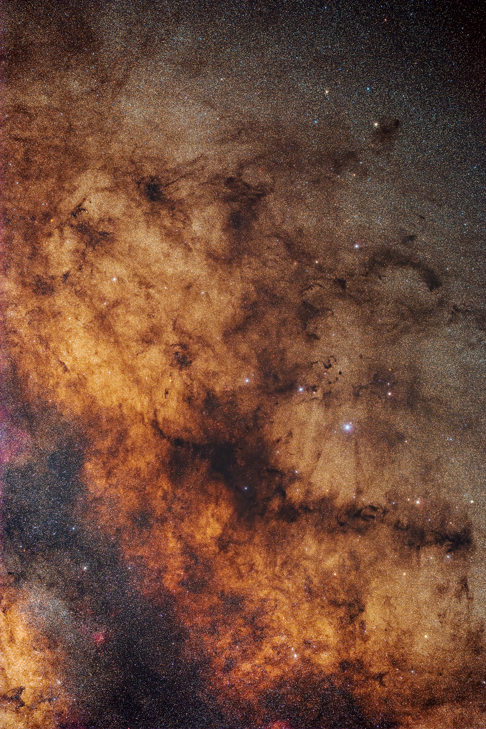 Dark Horse Nebula