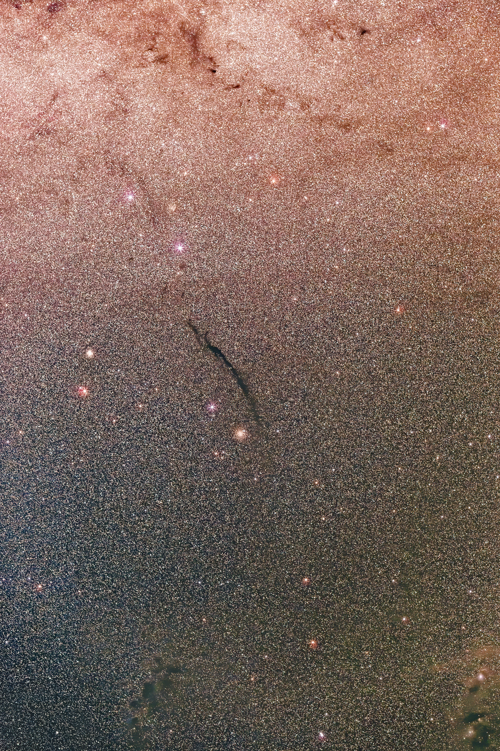 Dark Doodad