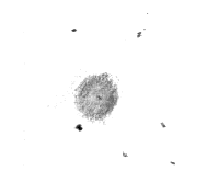 NGC 2438