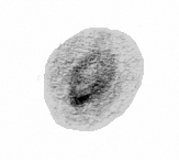 NGC 3242